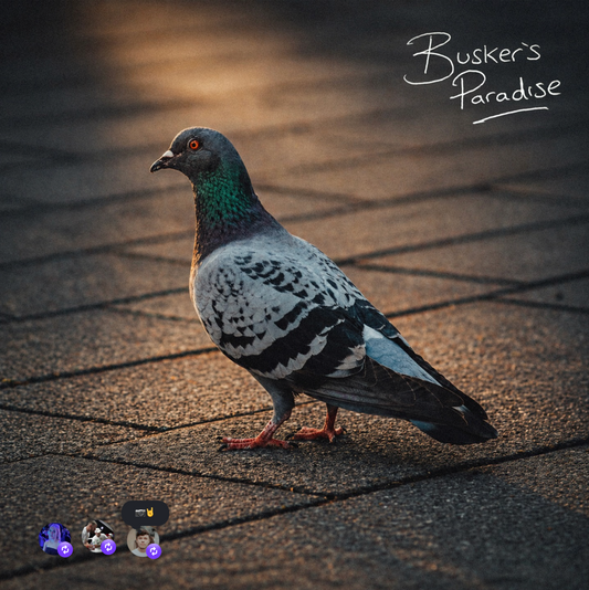 BUSKER’S PARADISE OUT FRIDAY!!! ♥️